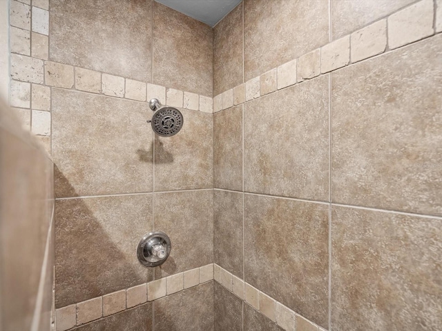 room details featuring tiled shower