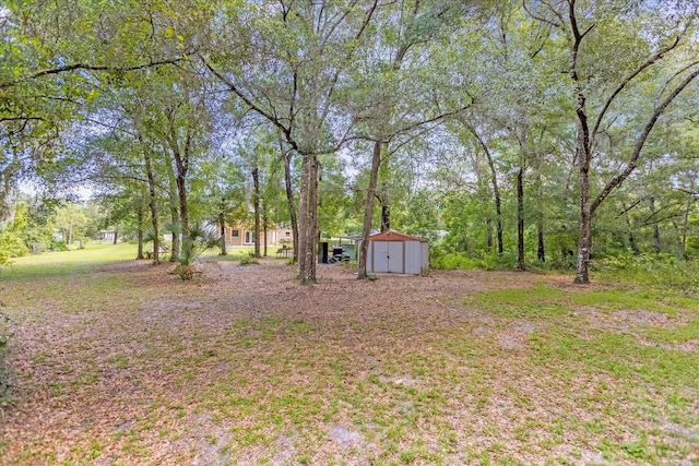 view of yard featuring an outdoor structure and a shed