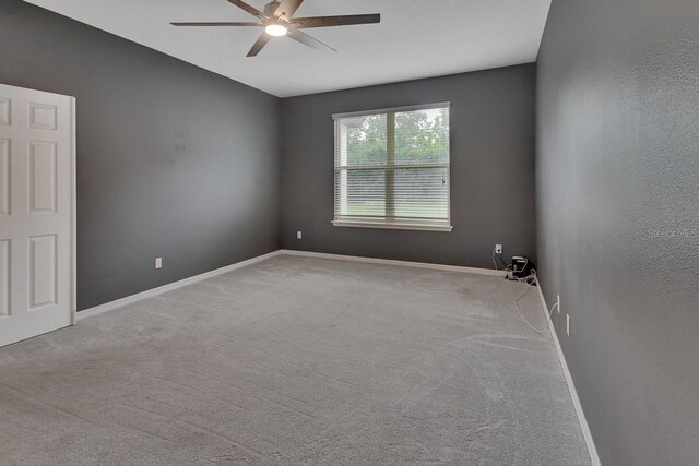 spare room featuring ceiling fan and carpet floors