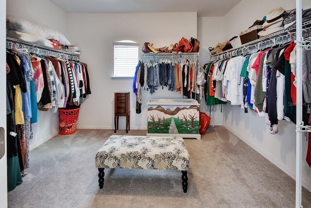 spacious closet with light carpet