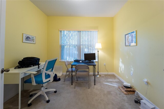 office featuring carpet flooring