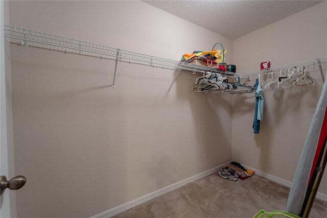 spacious closet with carpet flooring