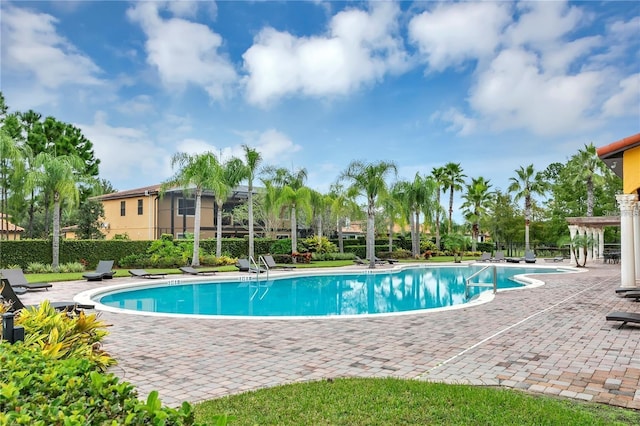 view of pool featuring a patio