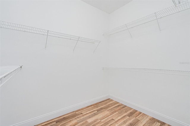 walk in closet featuring light wood-style flooring