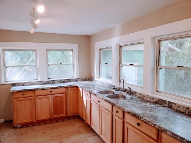 kitchen featuring rail lighting and sink