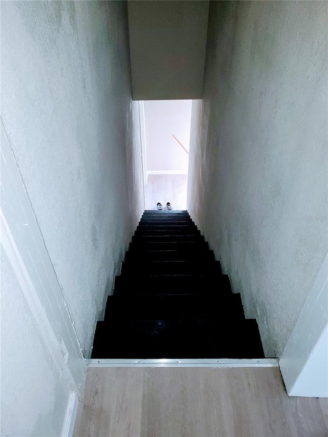 stairs featuring wood-type flooring