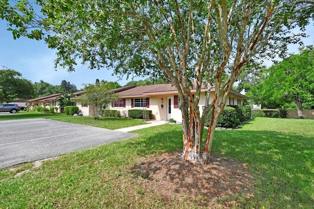 ranch-style home with a front lawn