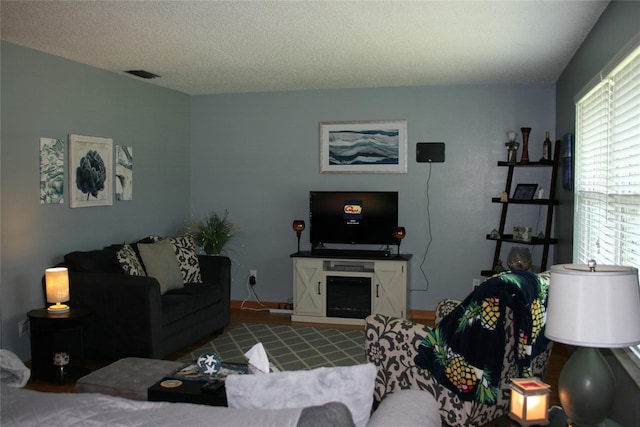 living room featuring a textured ceiling