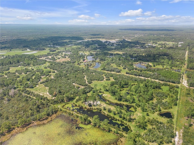 29540 Fullerville Rd, Deland, FL 32720 - photo 22