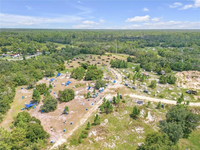 29540 Fullerville Rd, Deland, FL 32720 - photo 27