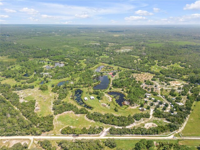 29540 Fullerville Rd, Deland, FL 32720 - photo 29