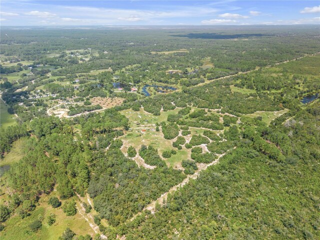 29540 Fullerville Rd, Deland, FL 32720 - photo 30