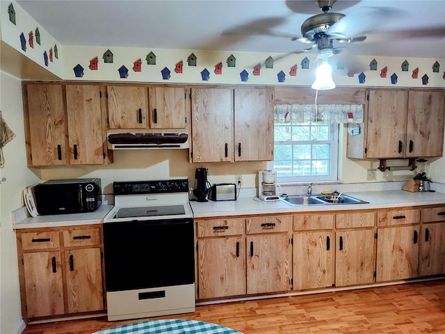 kitchen with white electric stove, light wood-type flooring, sink, and ceiling fan