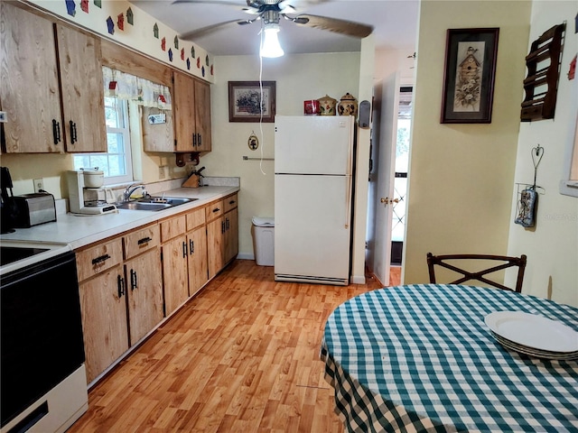 kitchen with ceiling fan, plenty of natural light, light hardwood / wood-style floors, and white appliances