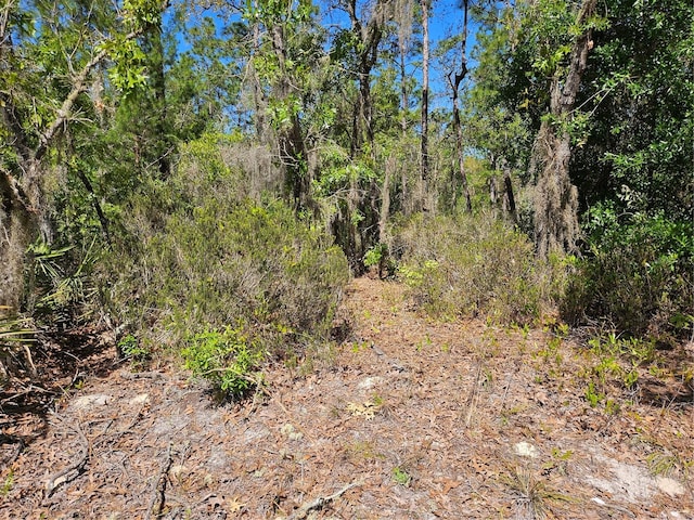 Ofarrell Ave, Interlachen FL, 32148 land for sale