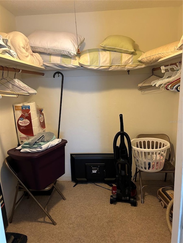 walk in closet with carpet floors