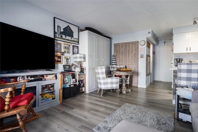living room featuring a textured ceiling and wood finished floors