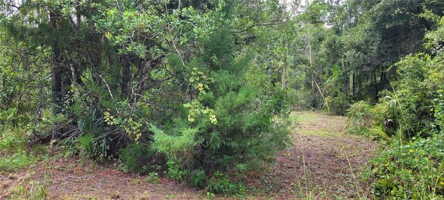 2828 Forest Park St, Bunnell FL, 32110 land for sale