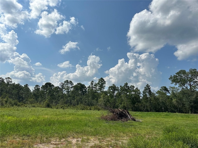 Listing photo 3 for 2155 State Road 40, De Leon Springs FL 32130