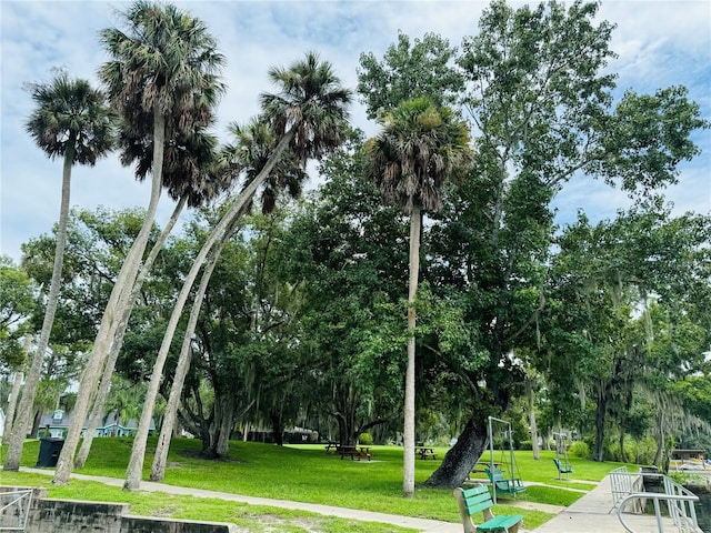 view of property's community with a yard