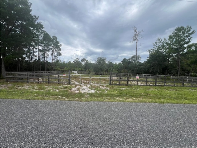 Georgia St, Paisley FL, 32767 land for sale