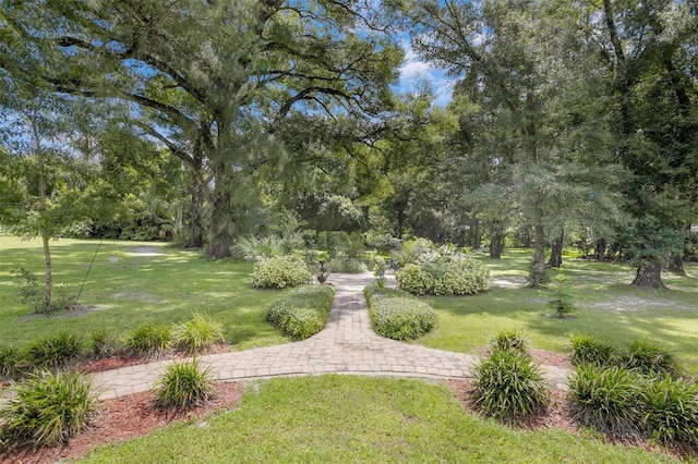 view of community with a lawn