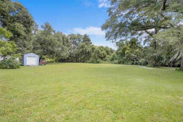 view of yard featuring a shed