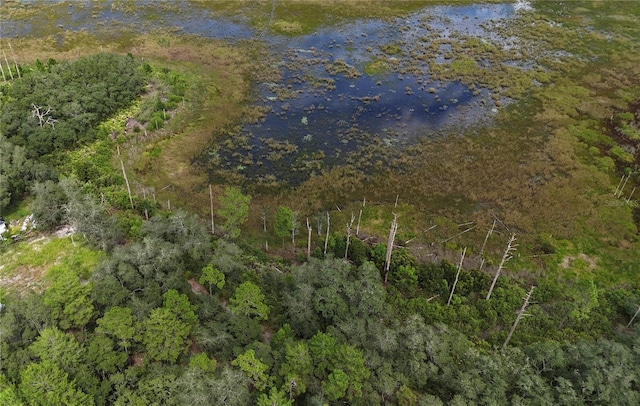 100 Sharon Dr, Satsuma, FL 32189 - photo 4