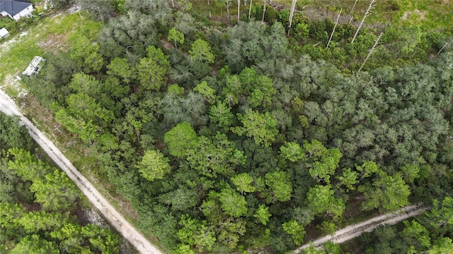 100 Sharon Dr, Satsuma, FL 32189 - photo 2