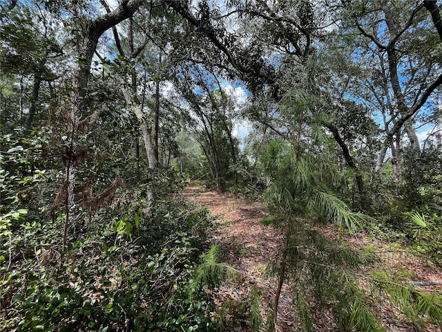 100 Sharon Dr, Satsuma, FL 32189 - photo 11