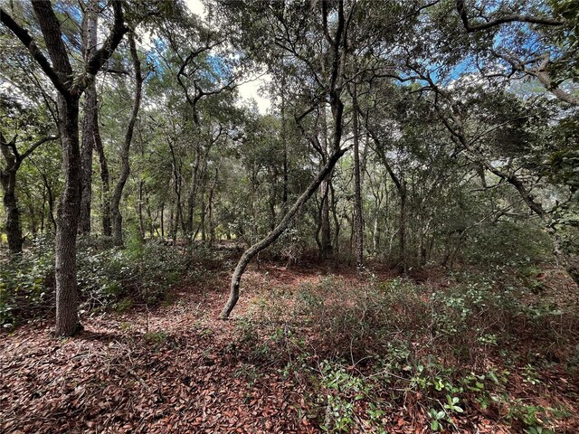100 Sharon Dr, Satsuma, FL 32189 - photo 12