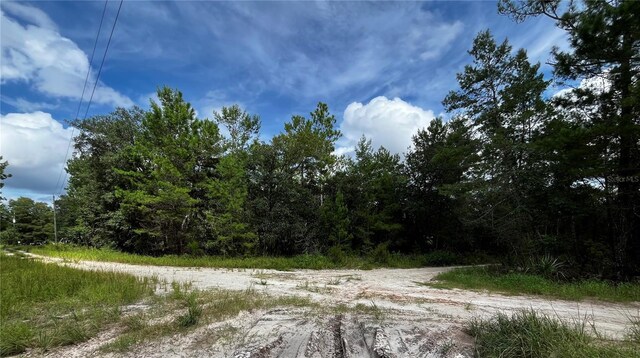 100 Sharon Dr, Satsuma, FL 32189 - photo 3