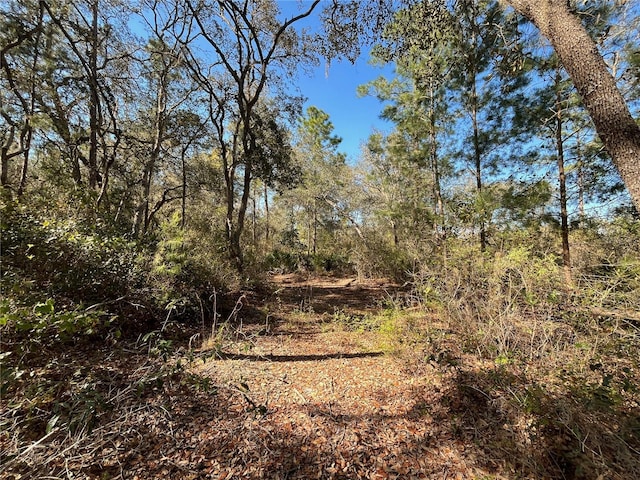 100 Sharon Dr, Satsuma, FL 32189 - photo 1