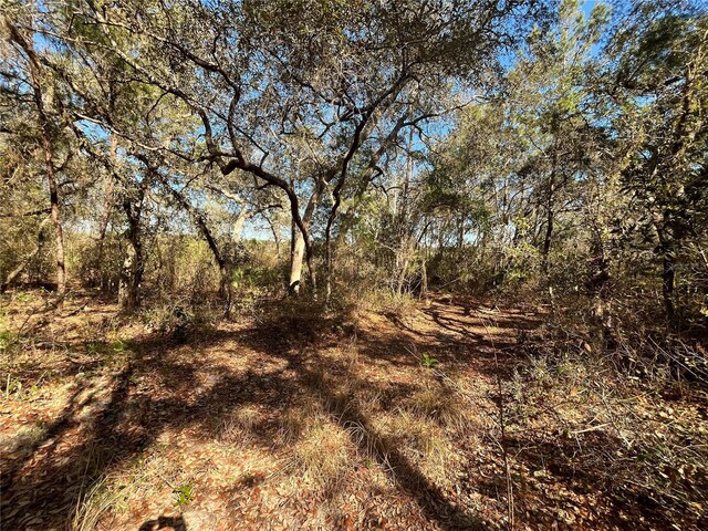100 Sharon Dr, Satsuma, FL 32189 - photo 5