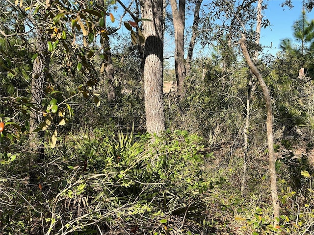 100 Sharon Dr, Satsuma, FL 32189 - photo 7