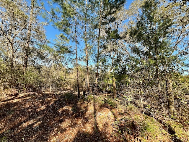 100 Sharon Dr, Satsuma, FL 32189 - photo 8