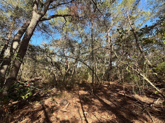 100 Sharon Dr, Satsuma, FL 32189 - photo 9