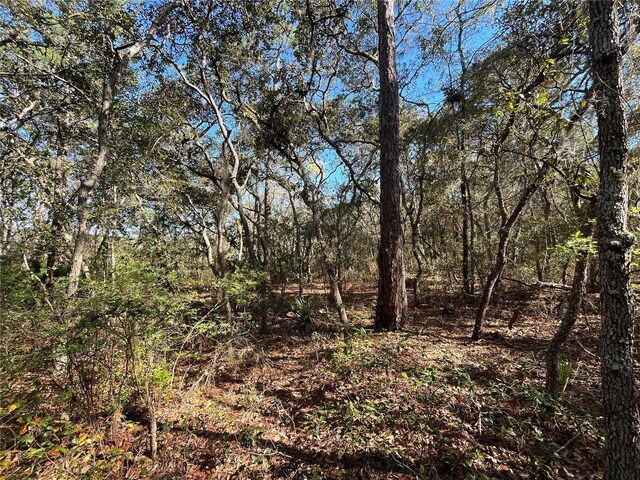 100 Sharon Dr, Satsuma, FL 32189 - photo 10