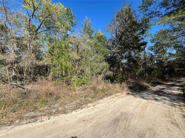 100 Sharon Dr, Satsuma, FL 32189 - photo 13
