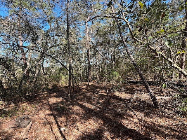 100 Sharon Dr, Satsuma, FL 32189 - photo 14