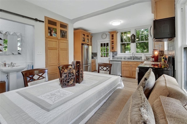 interior space with a barn door, stainless steel appliances, tasteful backsplash, and sink