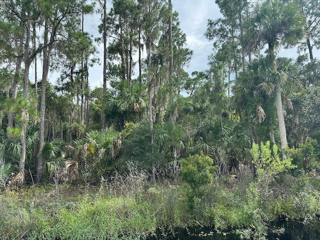 Lake Harney Cir, Geneva, FL 32732