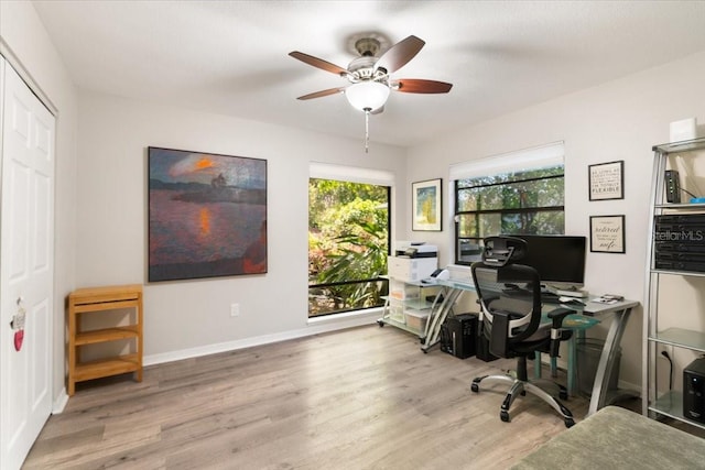 office featuring ceiling fan and light hardwood / wood-style flooring