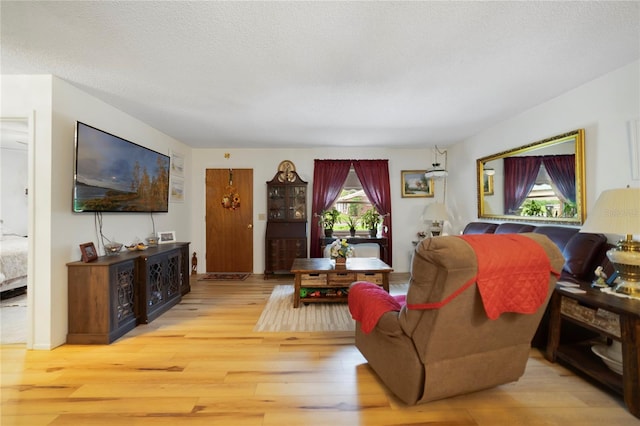 living room featuring light hardwood / wood-style flooring, a wealth of natural light, and a textured ceiling