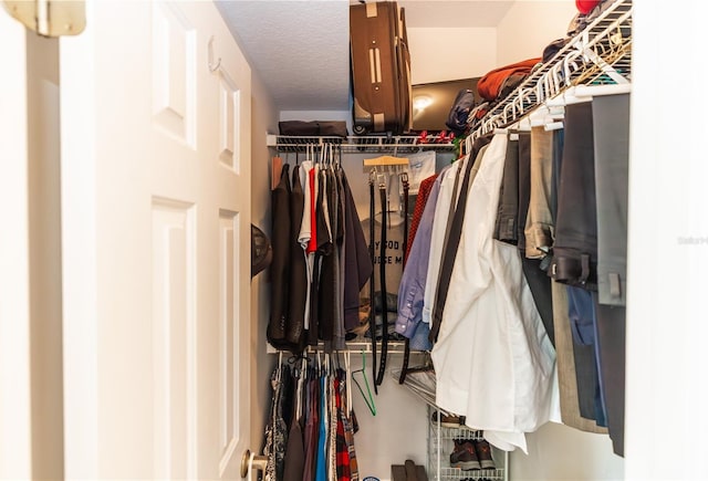 view of walk in closet