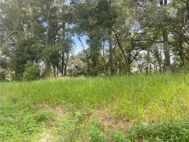 S Blue Lake Ave, Deland FL, 32724 land for sale