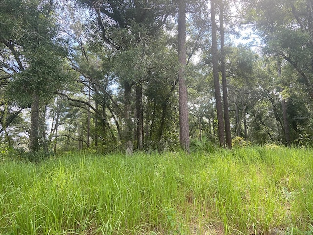 Listing photo 2 for S Blue Lake Ave, Deland FL 32724