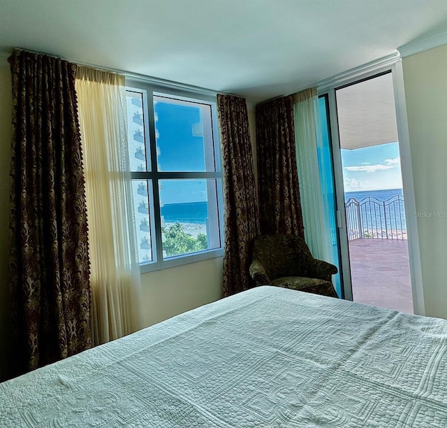 bedroom featuring multiple windows and access to exterior