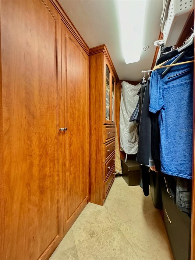 view of walk in closet