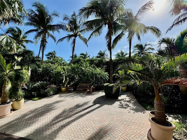 1500 Ocean Dr Unit 905, Miami Beach, FL 33139 - photo 40